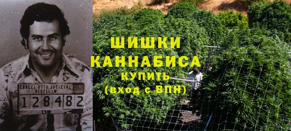 PSILOCYBIN Белокуриха